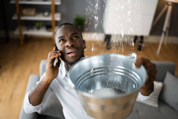 Best Local water damage restoration  in Rockwall, TX