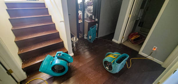 Trusted Rockwall, TX Water damage restoration Experts