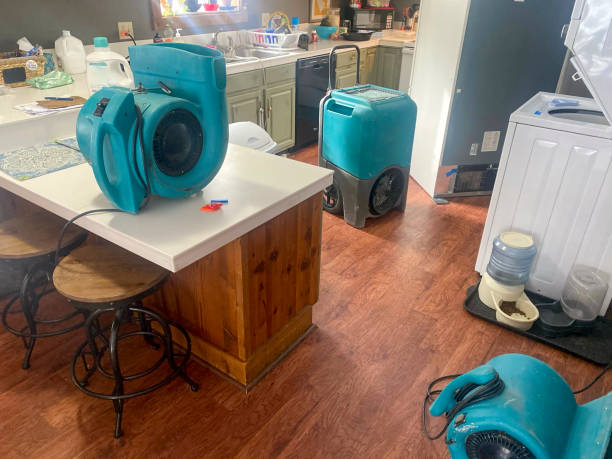 Best 24-hour water damage restoration  in Rockwall, TX