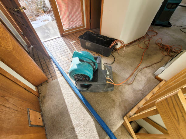 Best Ceiling water damage repair  in Rockwall, TX