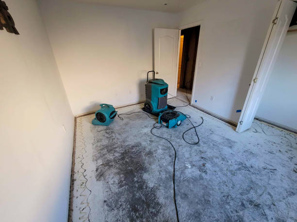 Best Water damage mitigation services  in Rockwall, TX