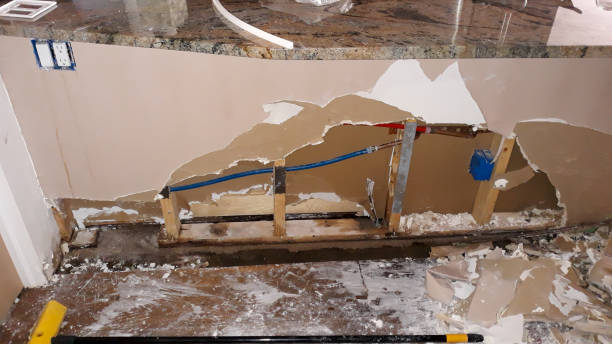 Best Water damage contractors near me  in Rockwall, TX